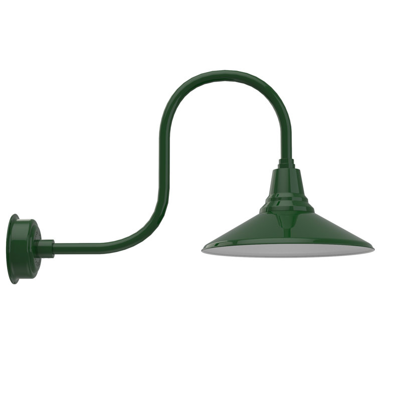 Luminaire de grange d’extérieur à del Albali, H 9 po x l 16 po x P 17 po, Vert rétro