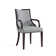 Elianys 18.5'' H Upholstered Beech Armchair