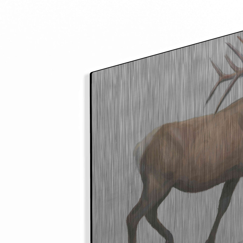 «Northern Wild III» par James Wiens, H 12 po x l 16 po