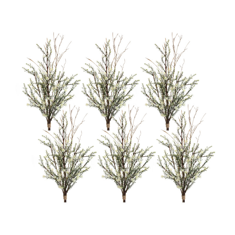 Ornement Leptospermum