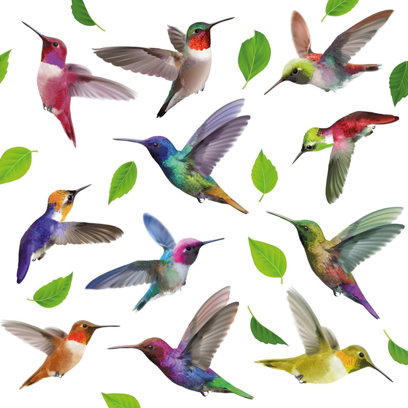 Les grandes fenêtres de colibris s'agrippent, H 23,6 po x l 23,6 po x P 0,01 po
