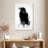Brampt Crow Raven Black And White-108435546