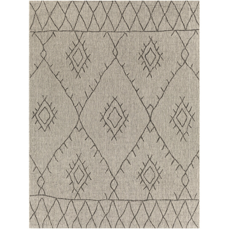 Hongming Southwestern Indoor / Outdoor Rug, Rectangle 10' x 14'