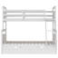 Lit simple superposé simple avec échelle, deux tiroirs de rangement, garde-corps de sécurité, blanc-47356065
