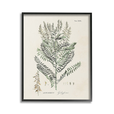 Forêt, plante, étude, giclée, ArtbyMartini