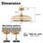 29.1" Caged Ceiling Fan with Dimmable LED Lights and Remote Control