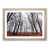Oak Framed selected