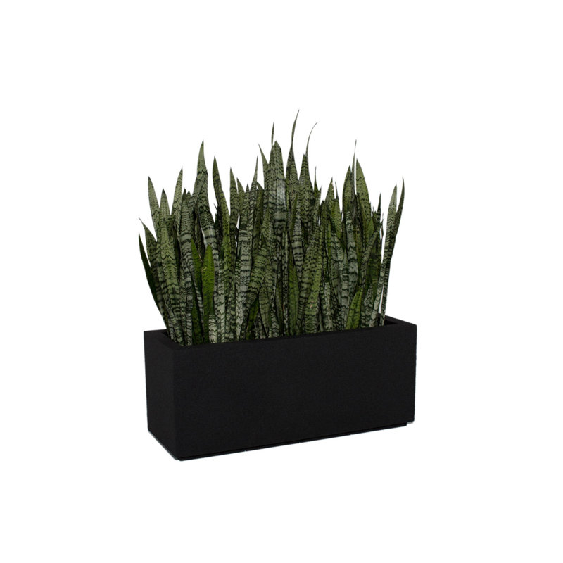 Milan Tall Polymer Box, Black, 19" H x 46" W x 17" D