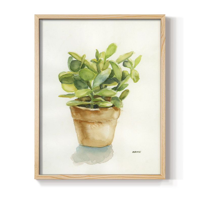 «Succulent I», reproduction encadrée - bois massif, Naturel, H 11 po x l 9 po