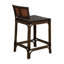 Dylan 24.25" Bar Stool