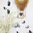 Insects Non-Wall Damaging Wall Decal