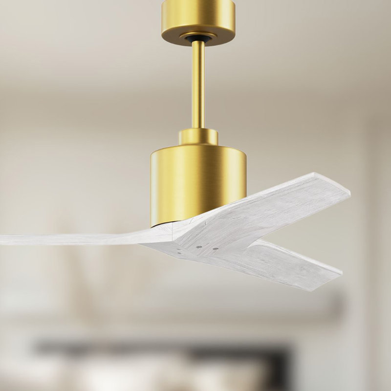Mollywood - 42" Ceiling Fan - Textured Bronze Finish - Matte Black Blades, Brushed Brass, 42", Matte White