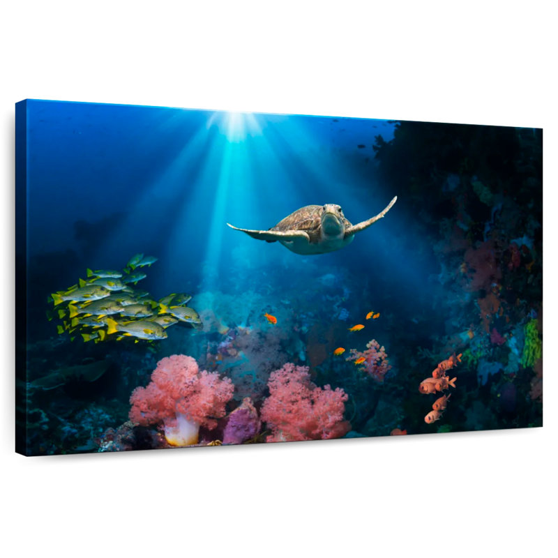 Brampt Ocean Underwater, 34" H x 51" W