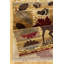 Tapis Lodge Nature's Nest-675038478