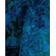 Fine Vibrance One-of-a-Kind 5'1" X 7'6" Hand Knotted Area Rug