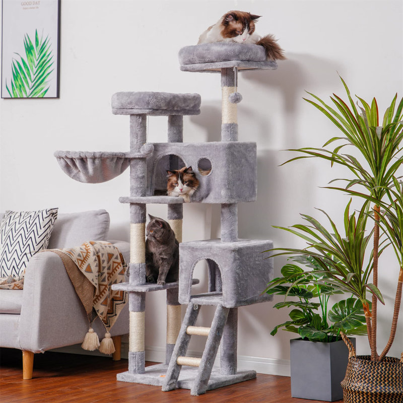 Etheldreda 61.02'' H Cat Tree, Grey