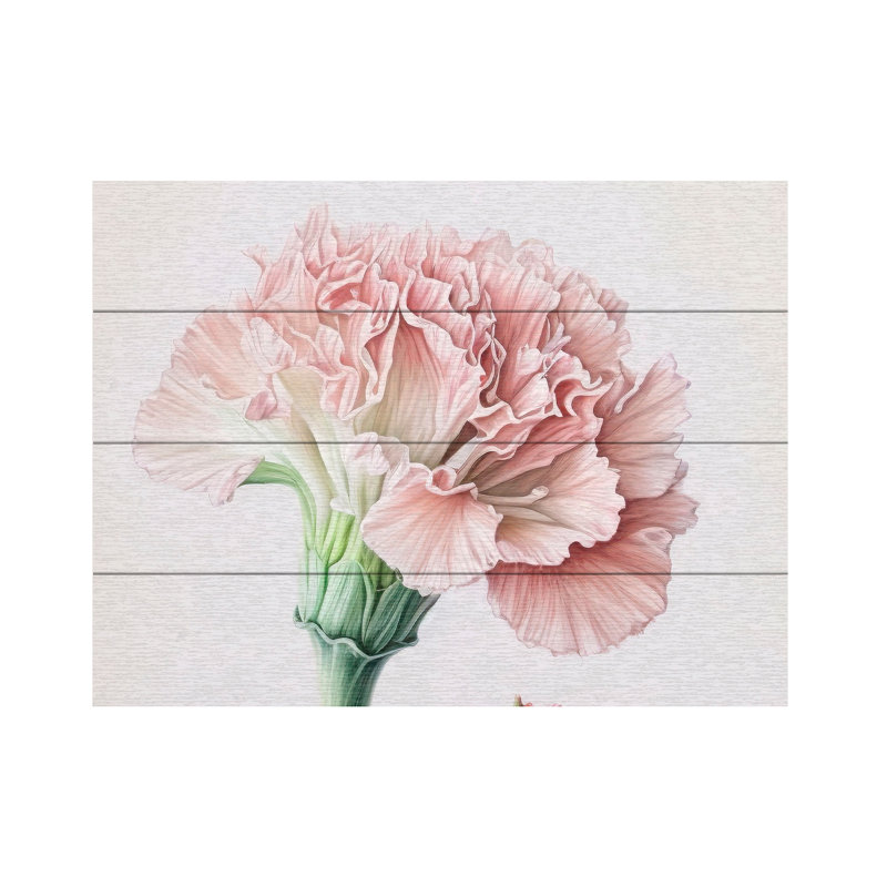 Incado Powder Pink Carnations Wood Slat Art, H 12 po x l 16 po