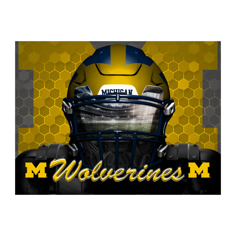 NCAA Michigan Wolverines, masque 3D, 500 pièces, Michigan