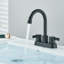 Centerset 2-handle Bathroom Faucet with Drain Assembly