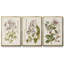 Ensemble d'arbres à fleurs rétro II, encadré sur toile, 3 pièces-97946194-97946195