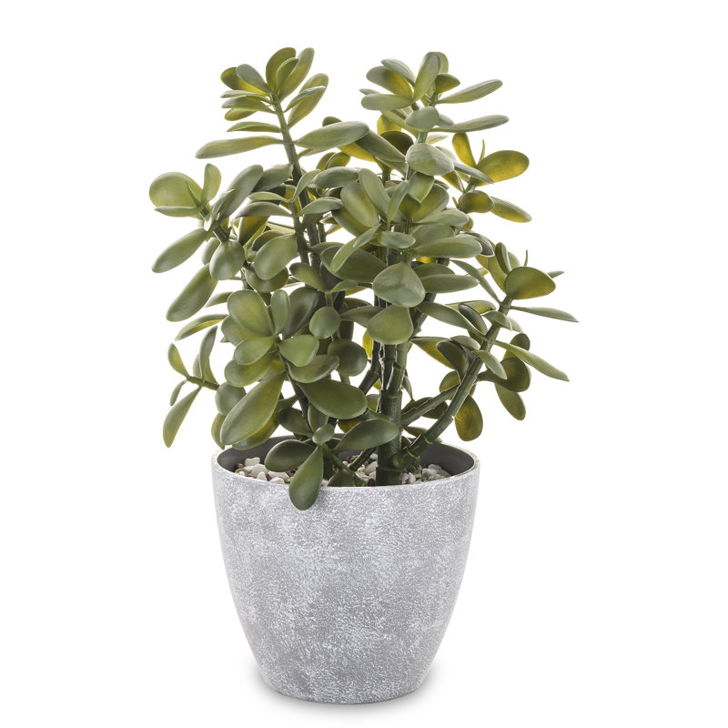 41cm Faux Succulent Tree in Earthenware Pot
