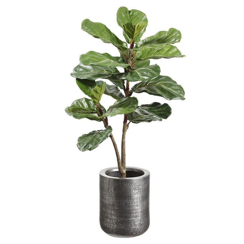 42 pouces plante pliable en pot