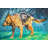 Spin-Dry Wet German Shepherd Print On Canvas