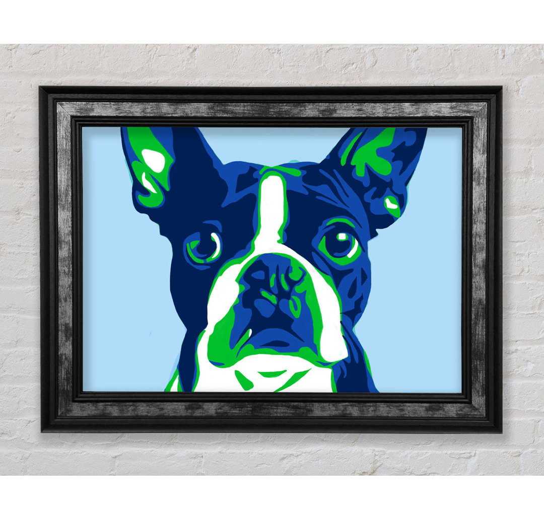 Die Französische Bulldogge Pop Art - Einzelne Bilderrahmen Kunstdrucke