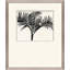 Palm Shadows III Painting