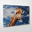 Wrapped Canvas Print-19091655