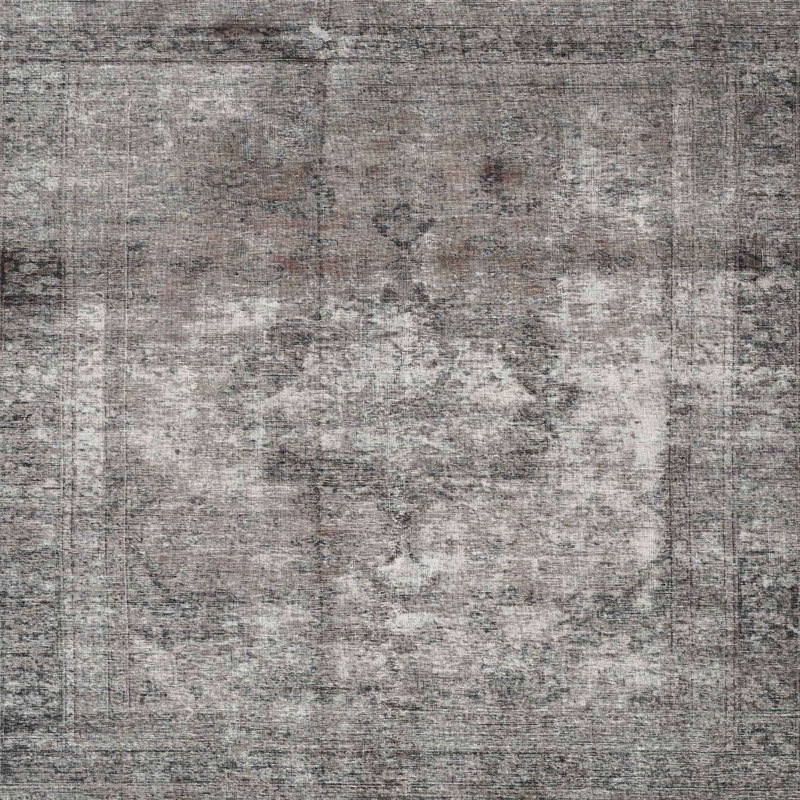 Aizlyn Oriental Indoor Rug, Square 4'