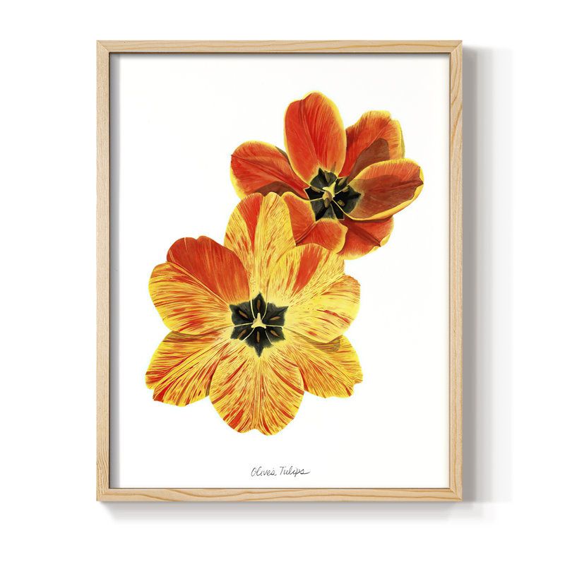 «Olive's Tulips II», reproduction encadrée - bois massif, H 11 po x l 9 po