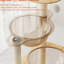 59" Modern Cat Tree With Acrylic , Scratching Posts, And A Top Perch For Indoor Cats