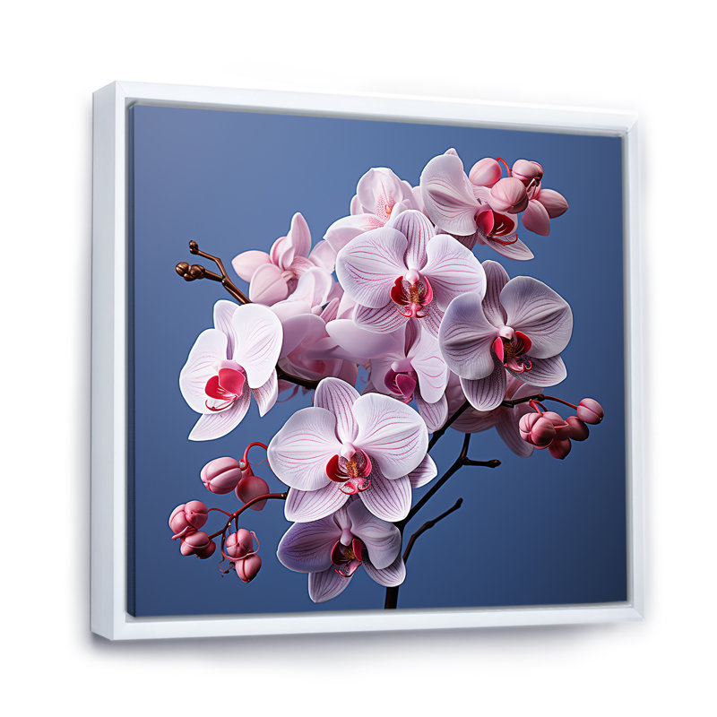 Orchidées mauves I - orchidées murales, H 24 po x l 24 po x P 1 po, Cadre flottant blanc