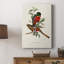 ElegantTrogonsI - galerie Cavas sur mesure-117693590
