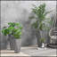 Jardinières hautes avec trous de drainage