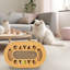 Jouet pour chat avec boule