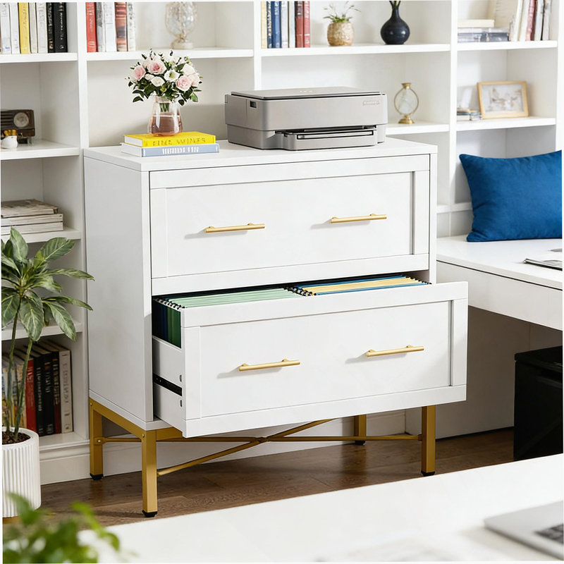 Office File Cabinet,2-Drawer File Cabinet,Sleek Design Storage Cabinet