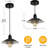 1 - Light Matte Black Dome Pendant