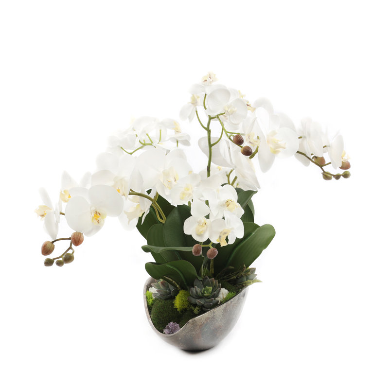 Orchid Floral Arrangement
