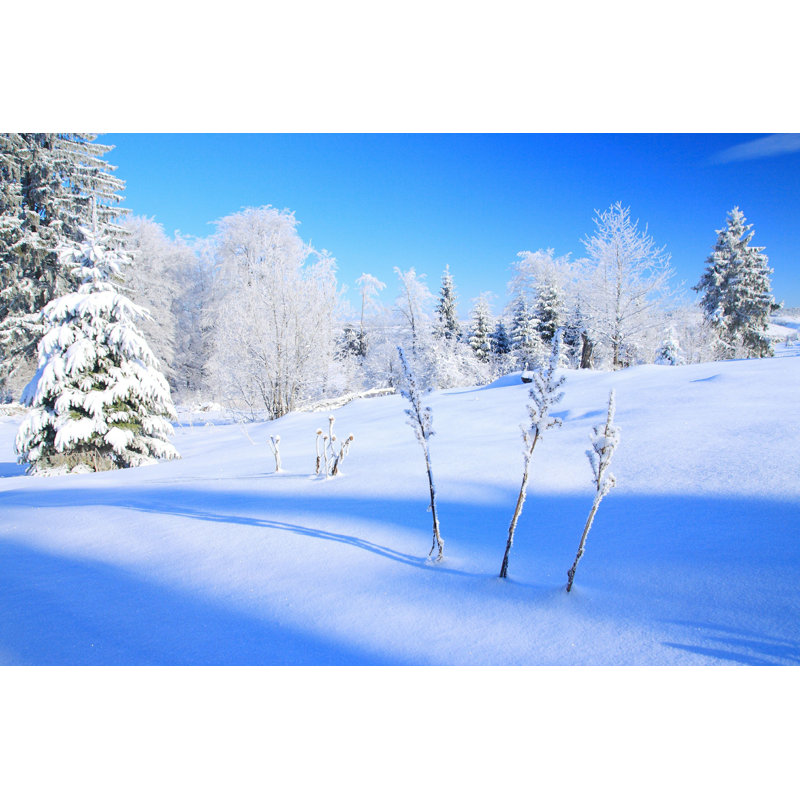 «Beautiful Winter Scene» par Balwan - Photographie sur toile tendue, H 32 po x l 48 po