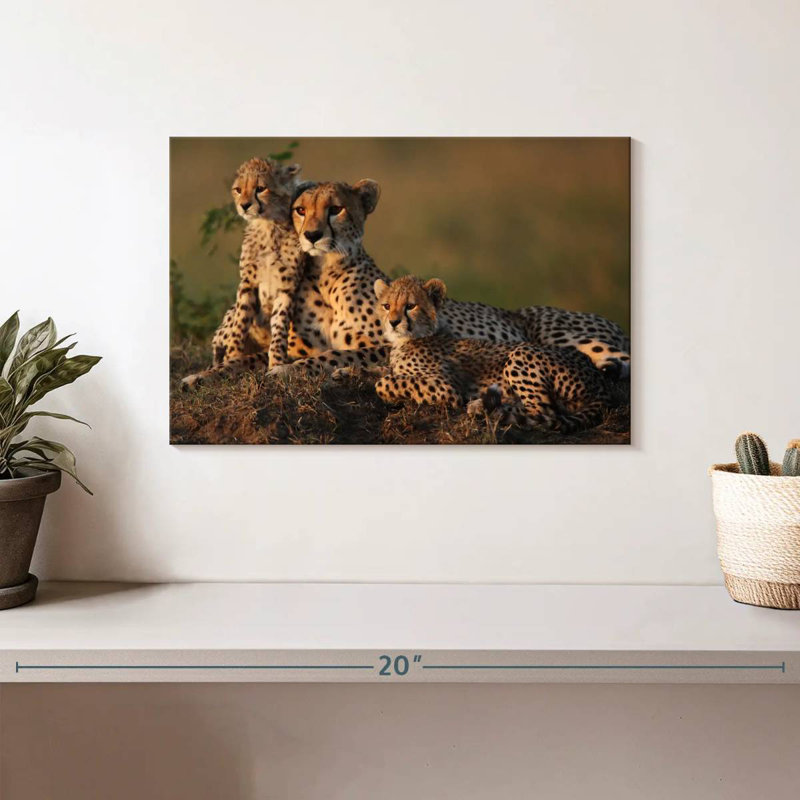 Safari guépard famille, H 8 po x l 12 po