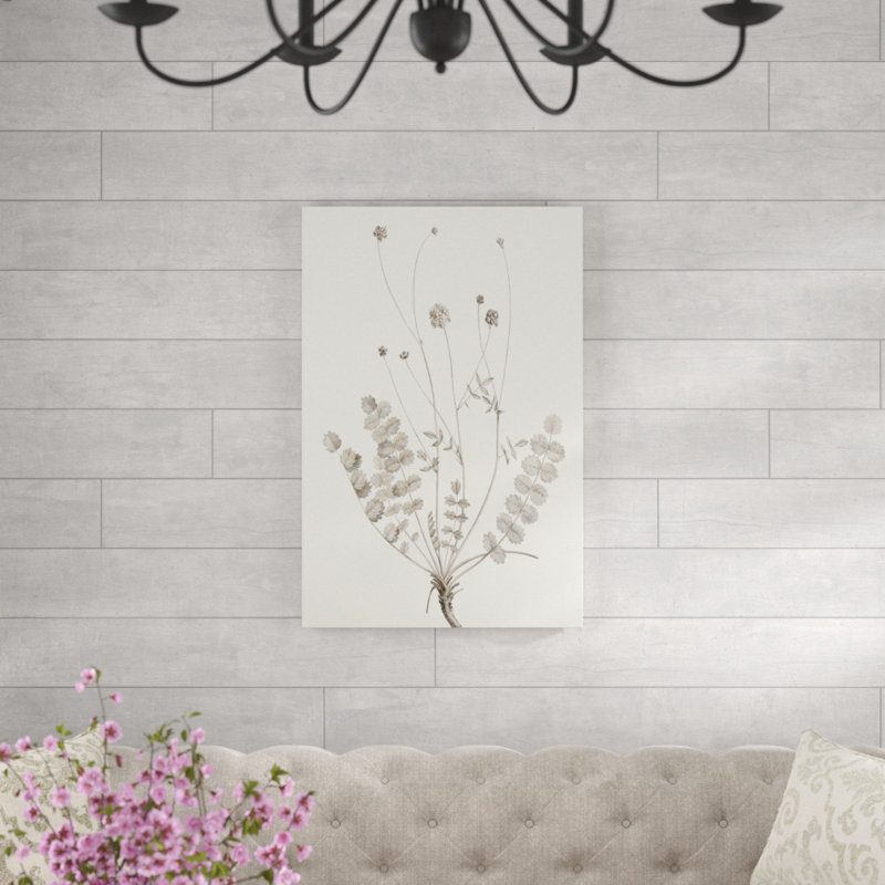 Neutral Botanical Study IX by Vision Studio - Painting Print, 91cm H x 61cm W, Wrapped Canvas