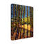 Art sur toile bol bol Bebe Keith-104143004