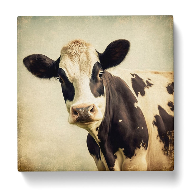 Cow Vintage Art - Print, 35cm H x 35cm W x 3cm D