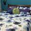 Photos des clients 1 de 1