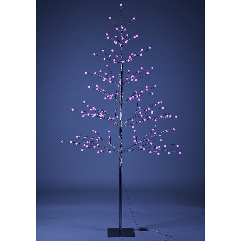 Holiday Lighting