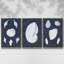 Nouveau Decorative I - Ensemble de 3 reproductions sur toiles-763181694-763181693