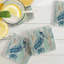 Paquet de 4 sous-verres Ariana Pelican