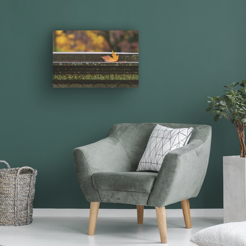 Art mural sur toile tendue - «Lichen and an Autumn Maple feuille» par Kurt Shaffer pour décoration de salon, de chambre à coucher ou de bureau - 16 x 24